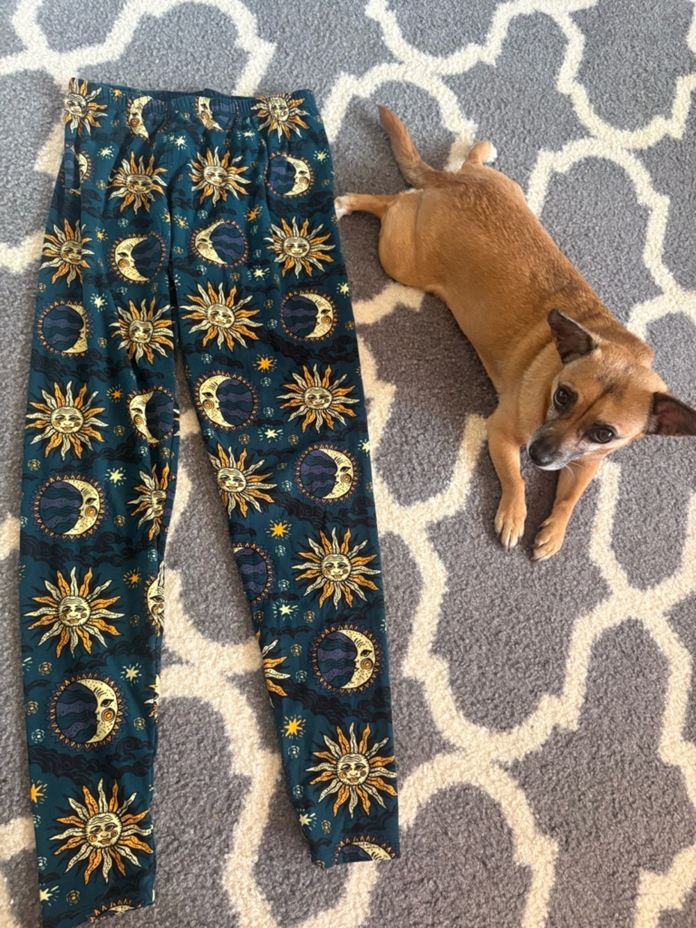 Leggings Depot Teal & Gold Celestial Print Leggings